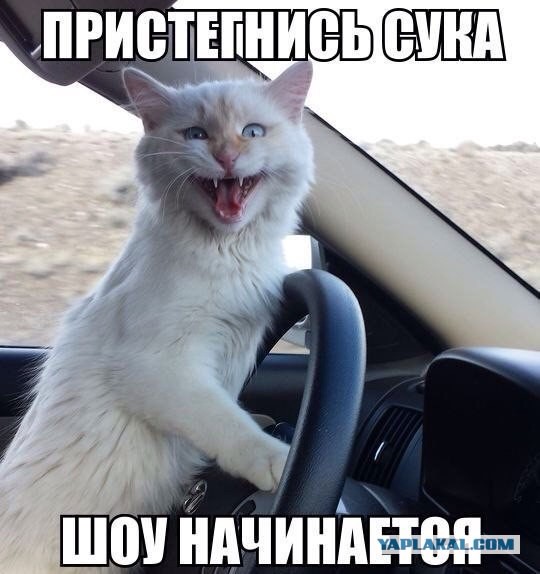 Иии-ххааа