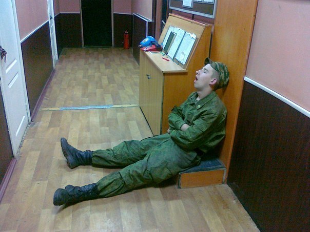 Приколы из сети