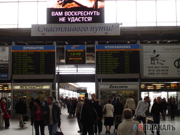 ВЫВЕСКИ, ТАБЛИЧКИ. Смешные и прикольные