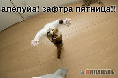 ПЯТНИЦА. Как все начинается!