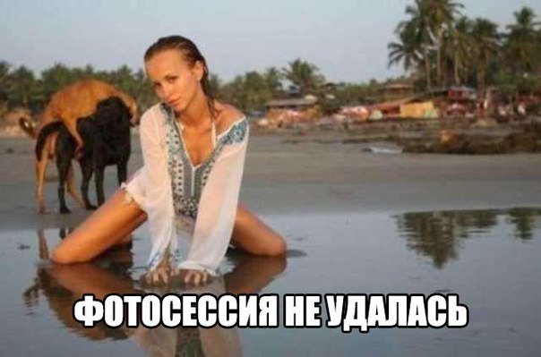 Подборка прикольных картинок