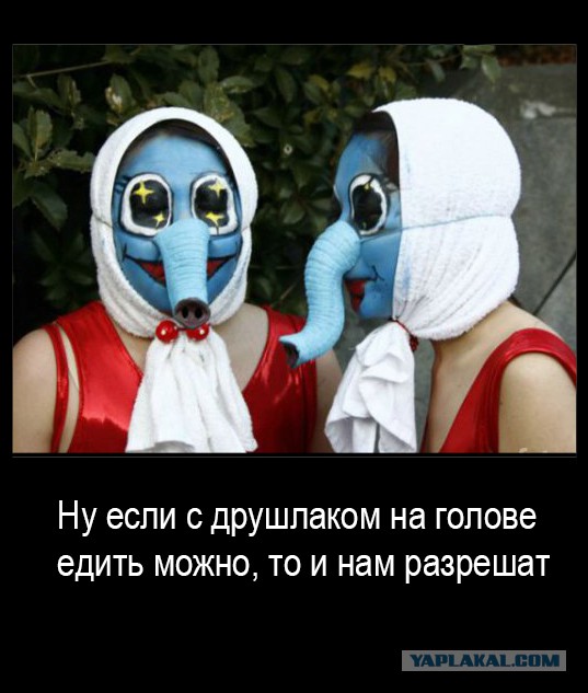 Дуралея обязали ездить в дуршлаке