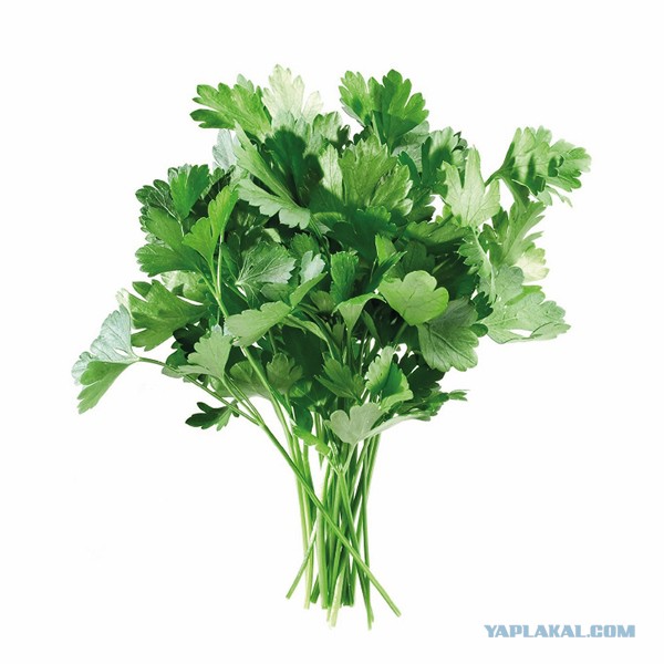 Когда делать нечего...