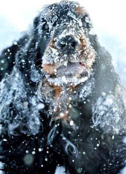 Подборка картинок