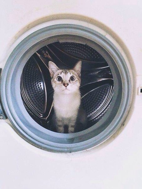 Подборка картинок 17.02.16