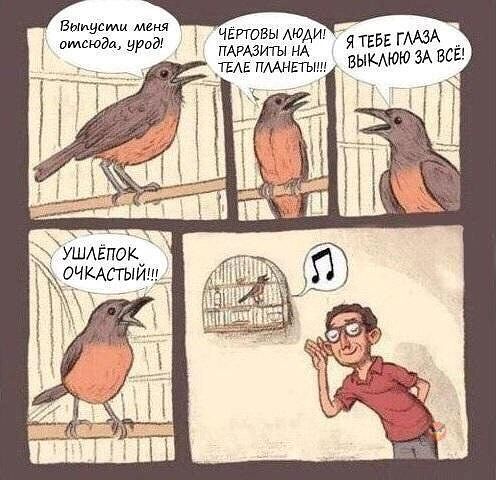 Сетевые картинки улыбательновозбуждающие