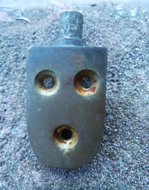 Они живые. Они смотрят на нас!