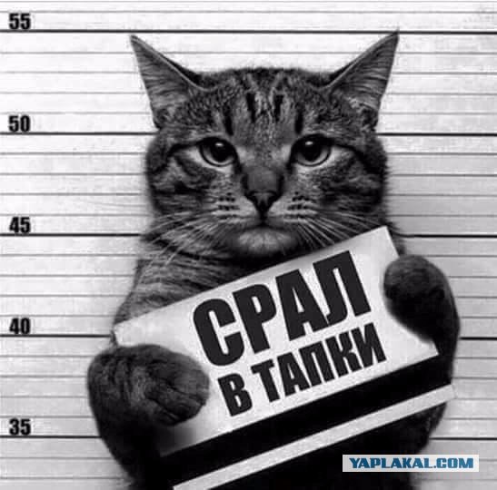 В Госдуме предложили включить плату за вред экологии в цену бензина