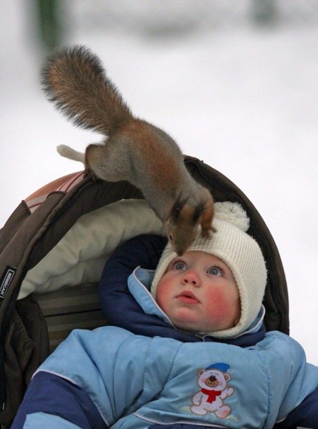 Подборка интересных и веселых фото