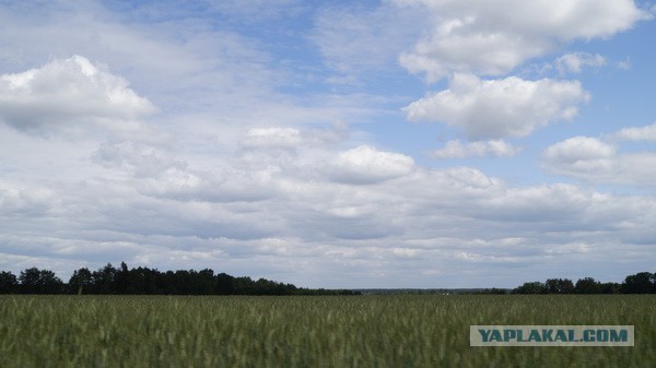 Украина, Донбасс, Крым. Я узнал правду