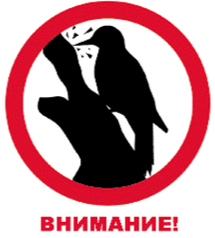Где Штурм?