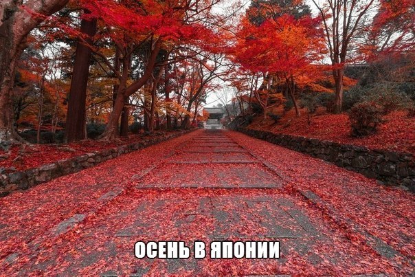Картинки для отдыха глаз