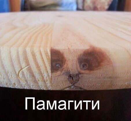 Смешные картинки из сети на 10.10.16
