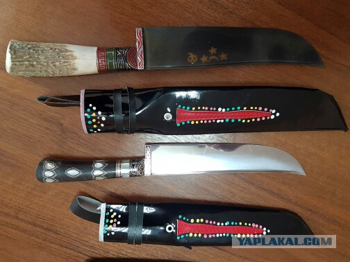 Продам Пчаки