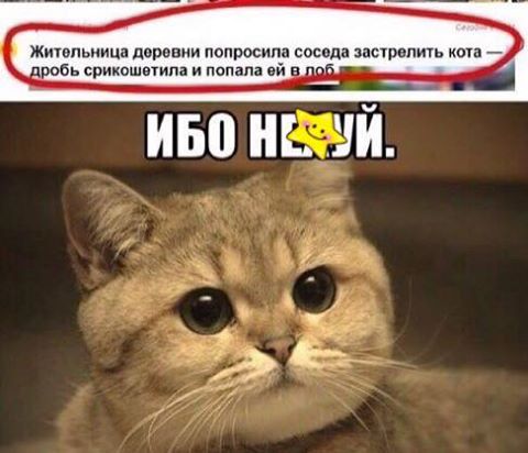 Всякое разное из сети