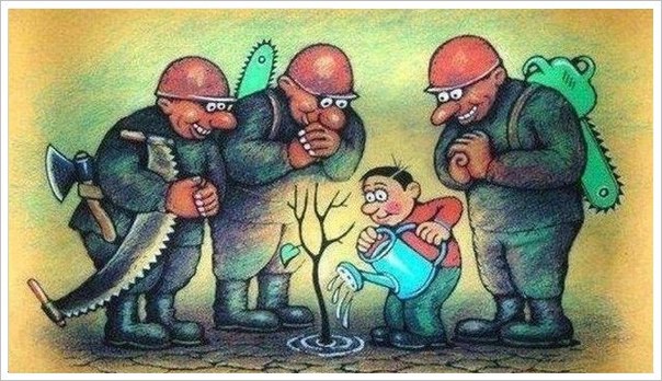В Омске наказали банду, которая нелегально собирала самолеты!