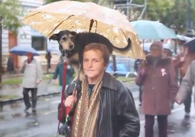 Подборка интересных и веселых картинок