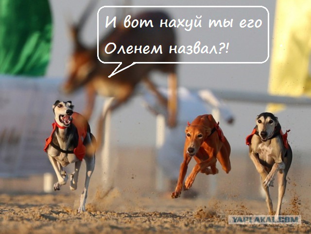 Подборка интересных и веселых картинок