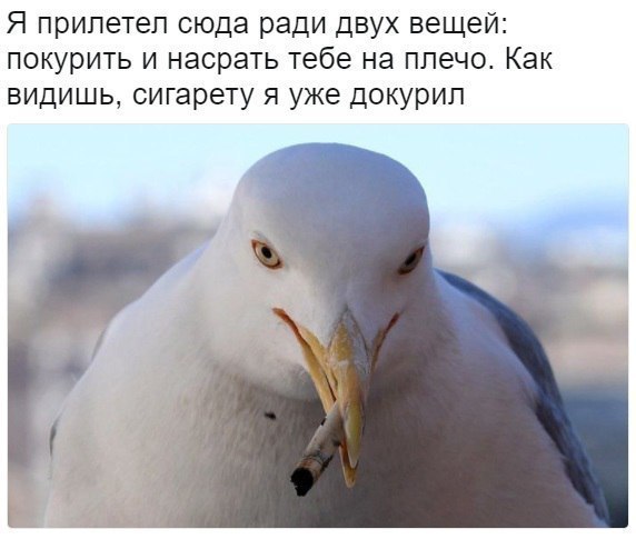 Нестандартный юмор