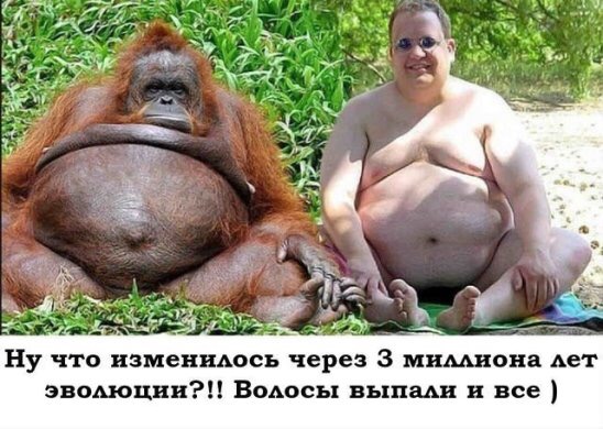 Нестандартный юмор