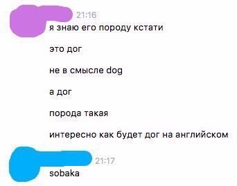 Подборка картинок