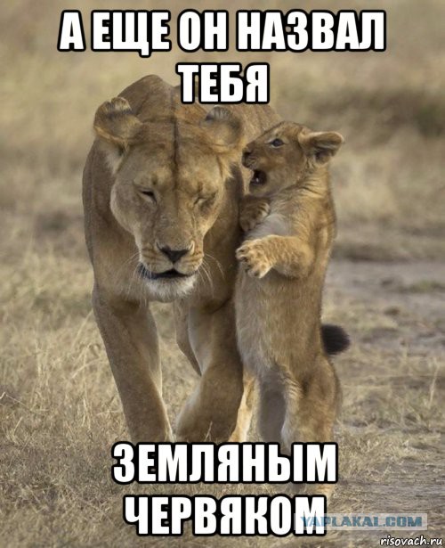 Подборка картинок. Забавных, прикольных - разных!
