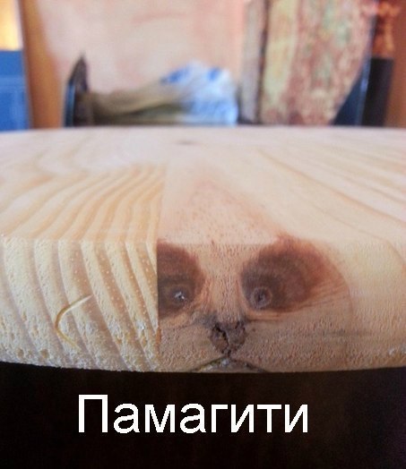 Прикольные картинки абавсём