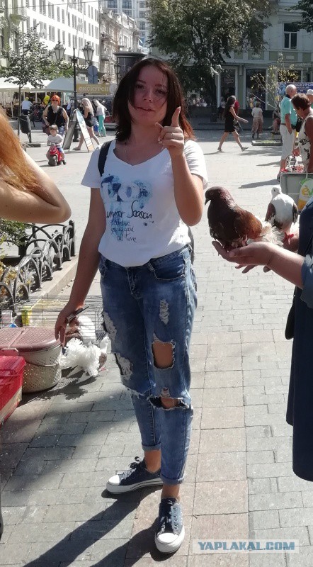 Про отдых в Одессе, с предисловием про отдых в Затоке