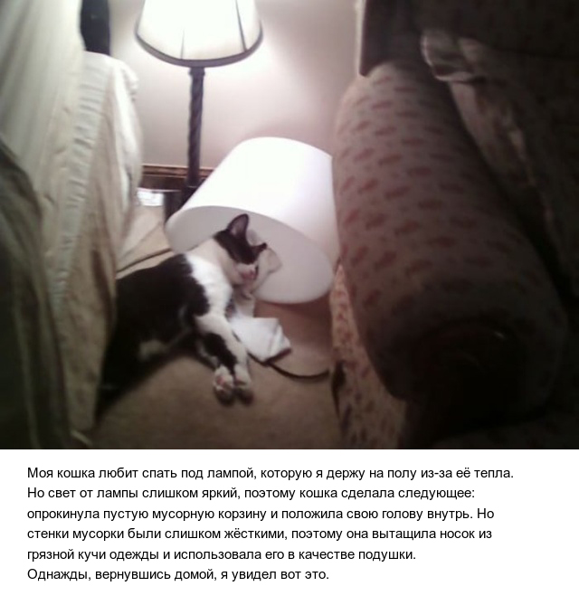 Немного милоты
