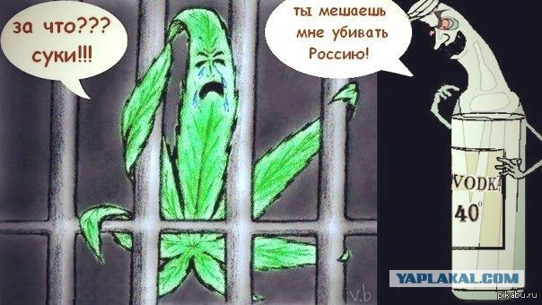 В поисках закладки разбирает и осматривает лифт