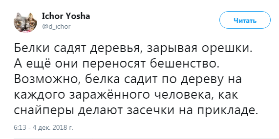 Прикольные комментарии и высказывания из Сети 12.12.2018