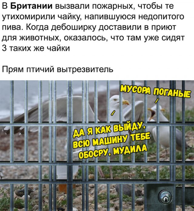 Немного картинок для настроения