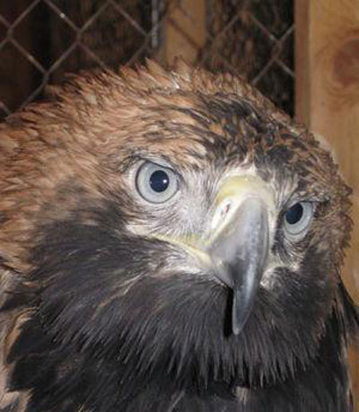 Очередной беспредел и жестокость