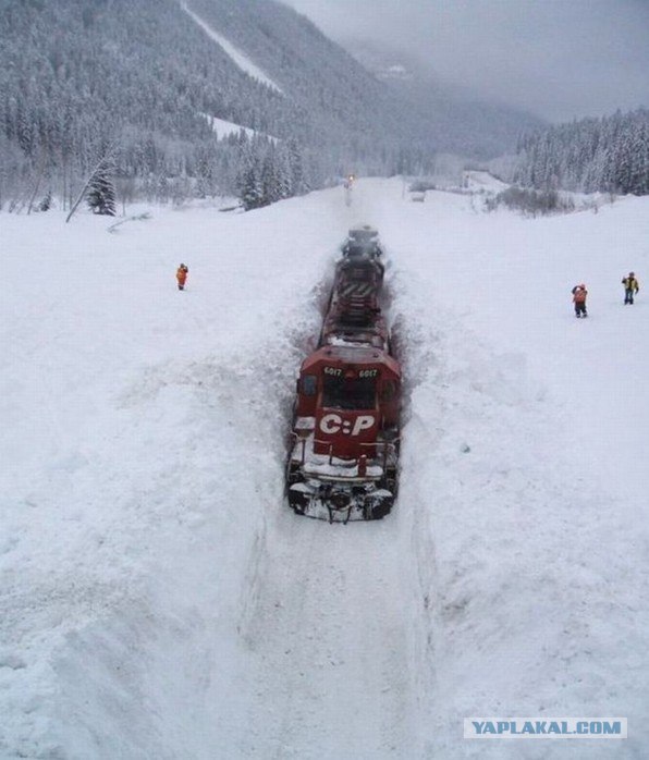 Караван в снегу