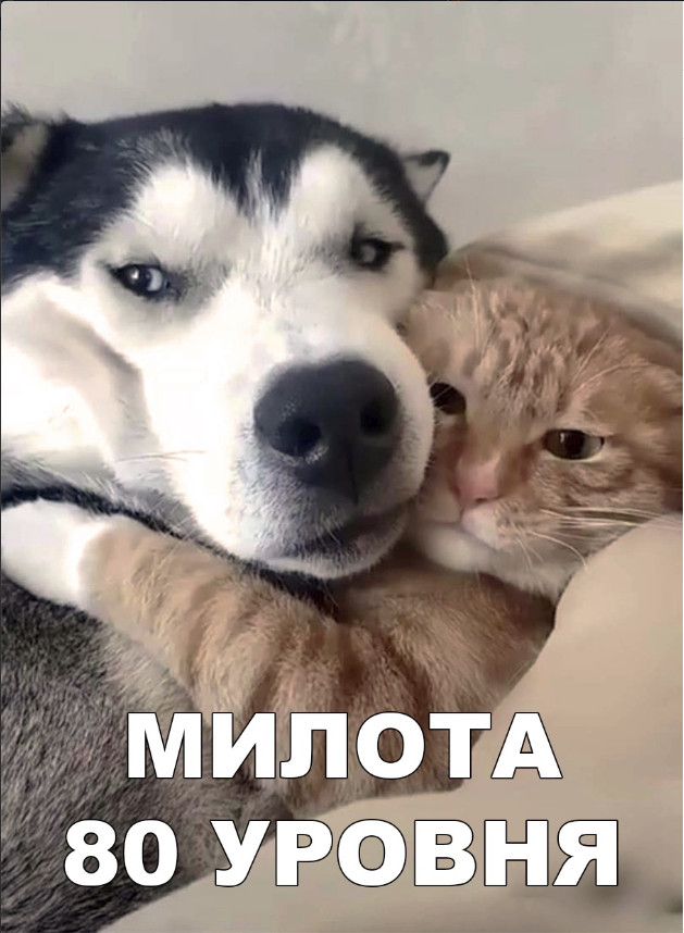 Живность из сети