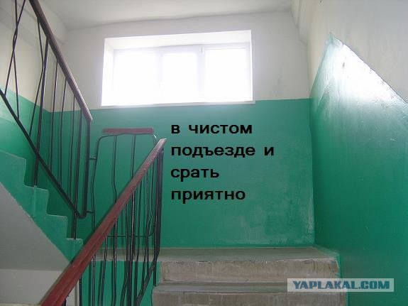 Кого звать, если...