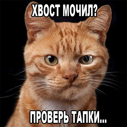 Как избавиться от ночных тыгыдыков