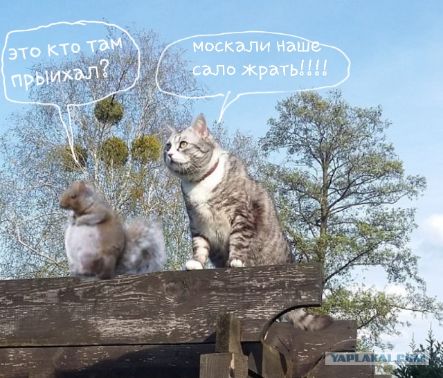 Как я опять съездил на Западную Украину (август 2019)