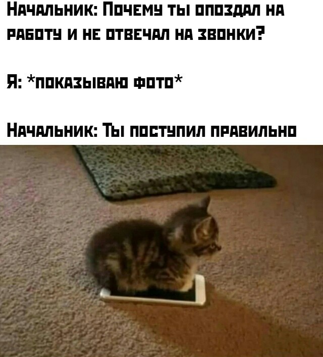 Немного картинок для настроения 05.12.19