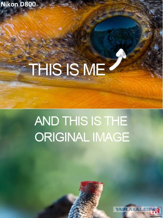 Суперфотоаппарат