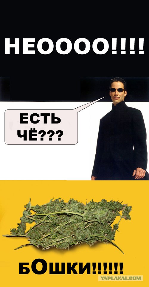 Фотожаба: Нео и ложка