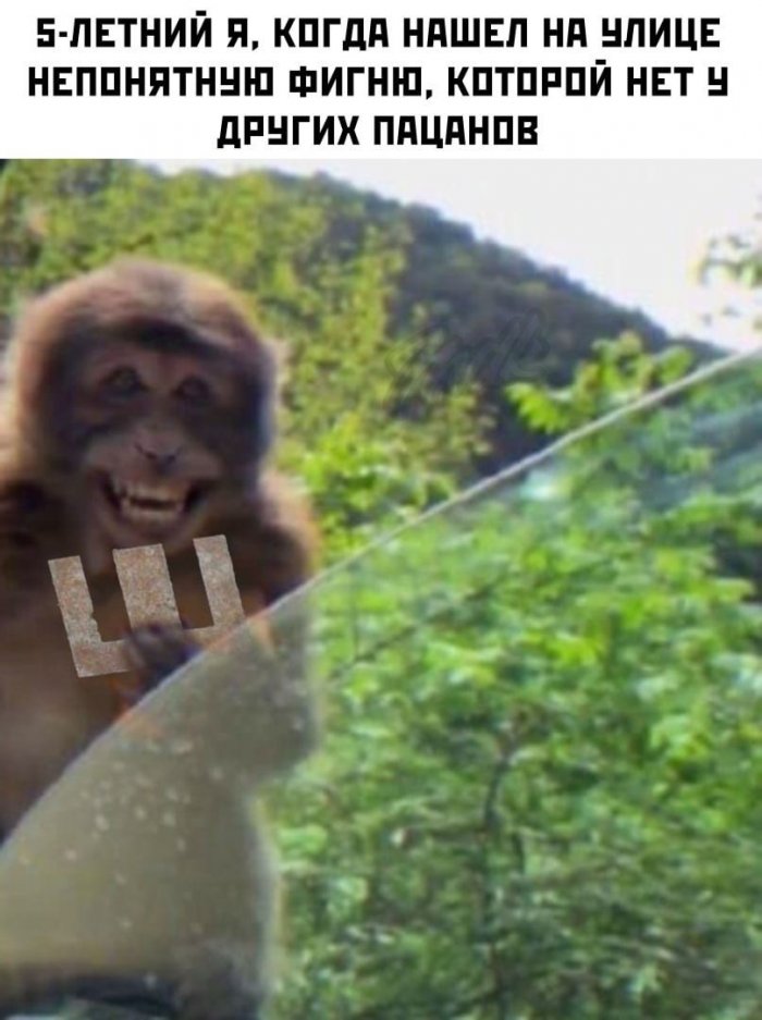 14351521.jpg