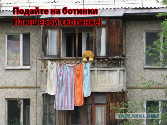 Конкурс: подпись к картинке
