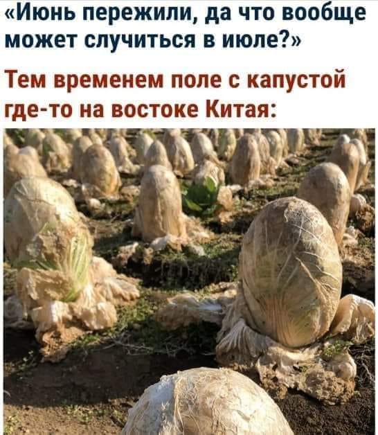 Немного картинок для настроения 18.07.20