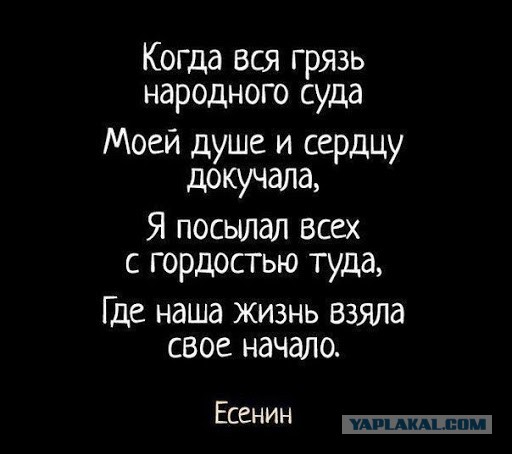 Снова пятница. И немного слегка пошлых картинок с надписями и без 16+ (31.07)
