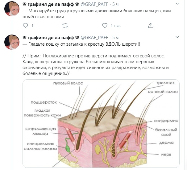 Как правильно гладить киску