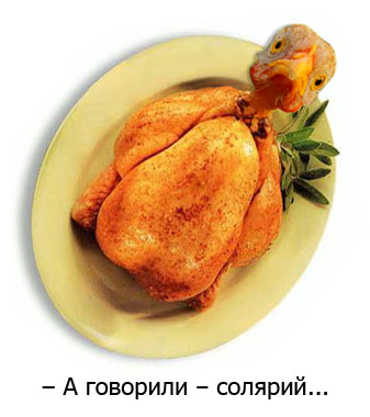 Фотожаба: Цыпа