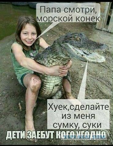 Юмор в картинках 10.11.20
