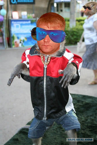 пацаны ваще ребята