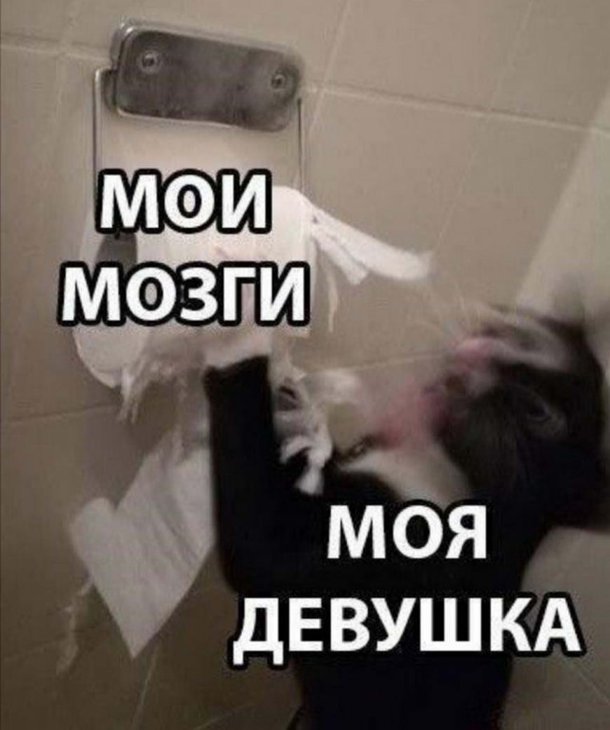 15131521.jpg